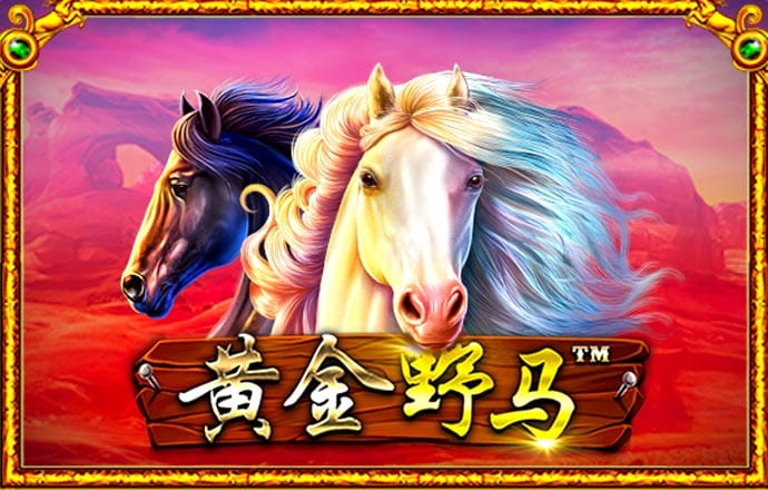 巴沙体育官网网址